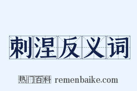 刺涅反义词是什么意思的图片